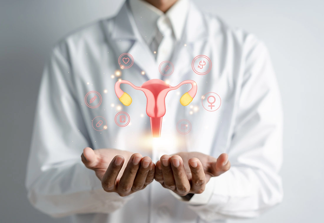A doctor and an illustration of the female reproductive system