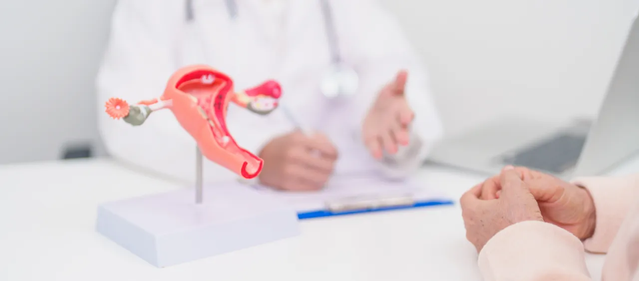Woman discussing fibroid treatment options with a gynaecologist.